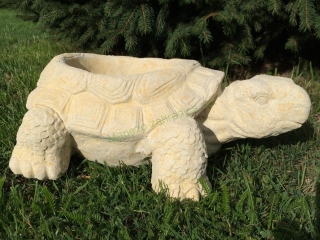 Květináč želva